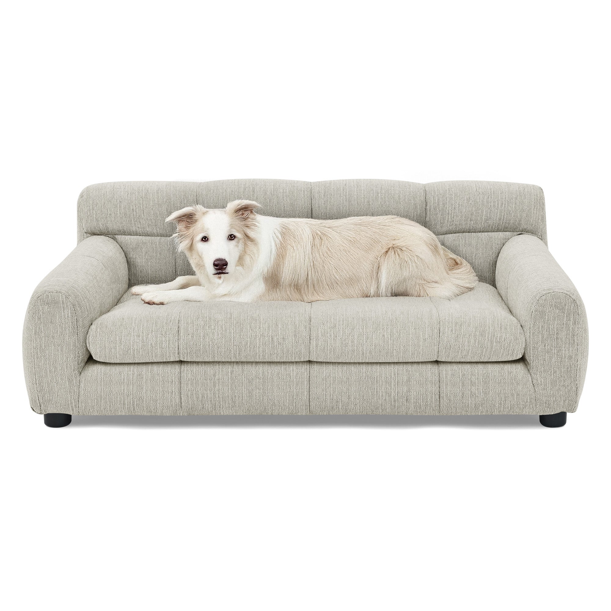 Soft and Comfortable Pet Sofa with Backrest and Armrests
