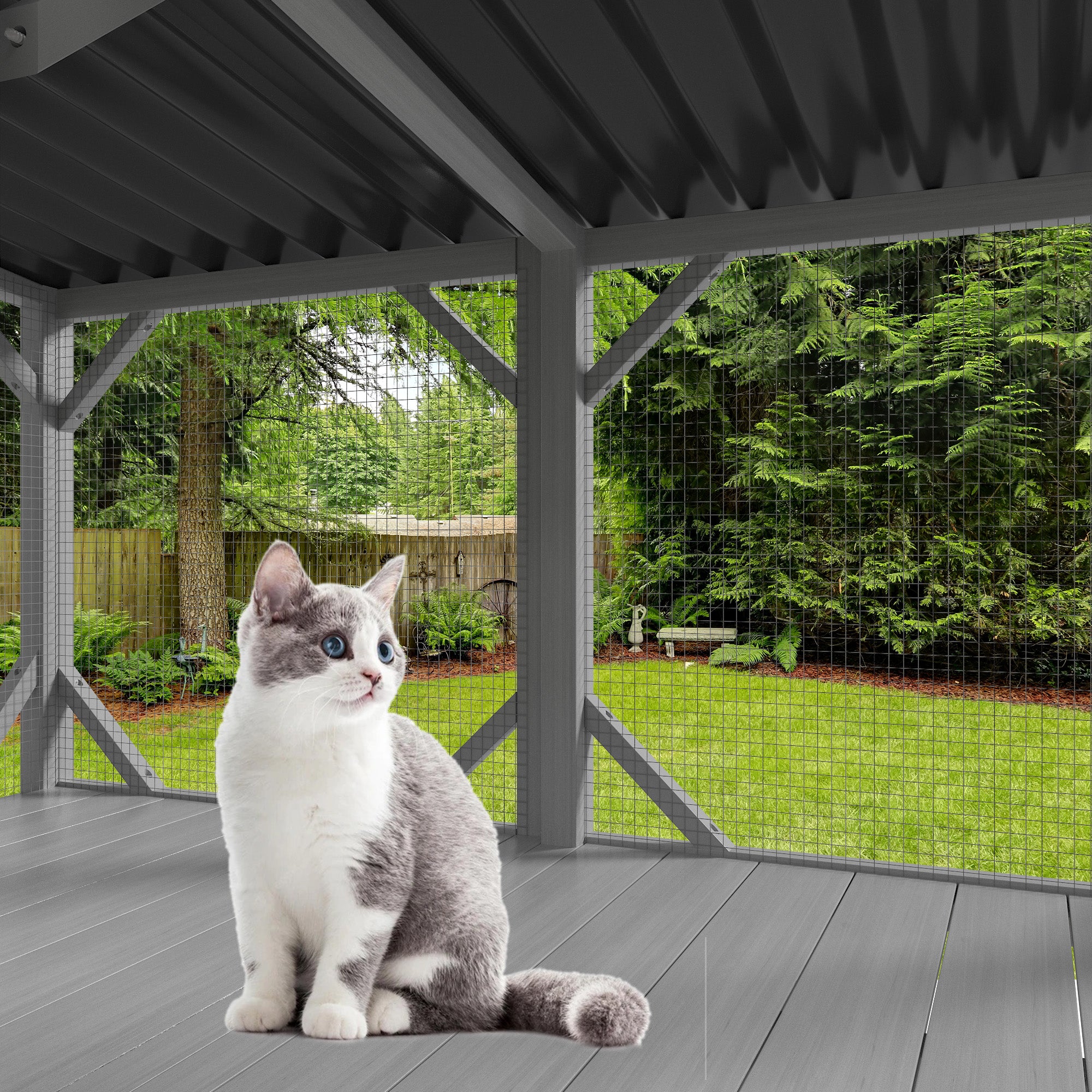 Cat Catio Window Perch for Large Indoor Cats