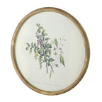 Flora Print Round Frame Set of 4