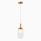 Modern Style Pendant Lamp - Bronze and Clear
