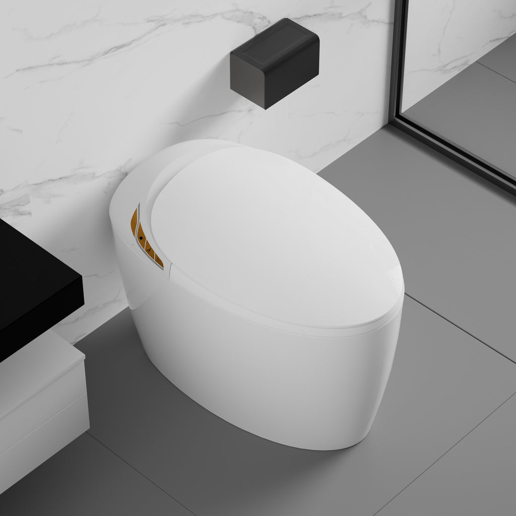 Unique Smart Toilet with Built-In Bidet