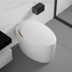 Unique Smart Toilet with Built-In Bidet