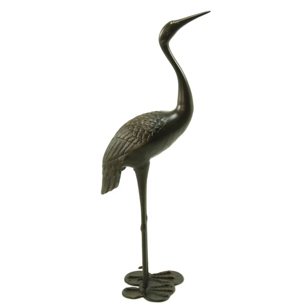 Bird Animals
