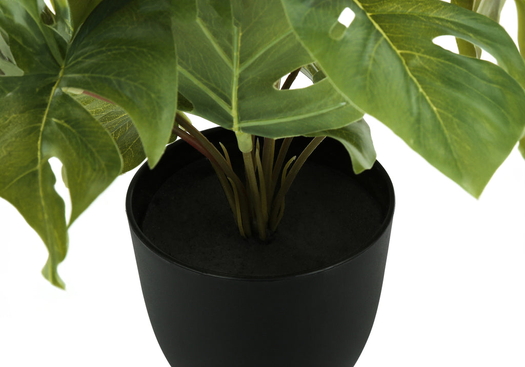 Artificial Plant Set of 2 - 13" Tall Monstera Calathea