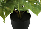Artificial Plant Set of 2 - 13" Tall Monstera Calathea