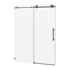 Frameless Sliding Shower Door