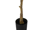 52" Tall Artificial Rubber Tree - Indoor and Faux Decorative Plant