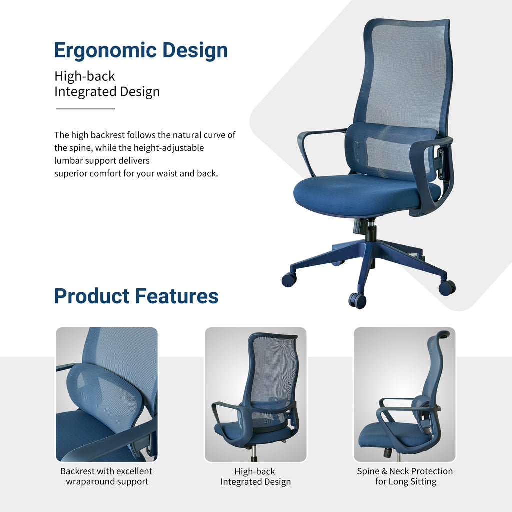 Ergonomic Colorful Office Chair