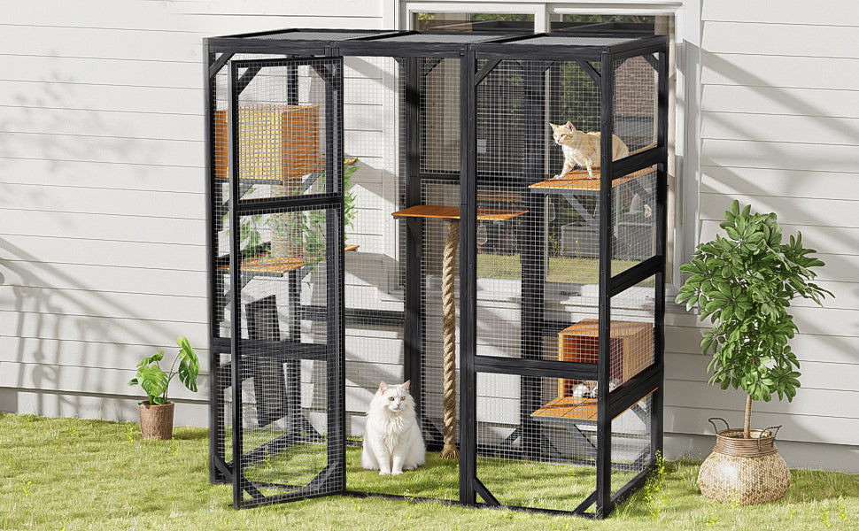 Outdoor Cat House with Double Entry Doors