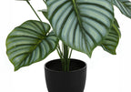 Artificial 24" Tall Calathea Plant