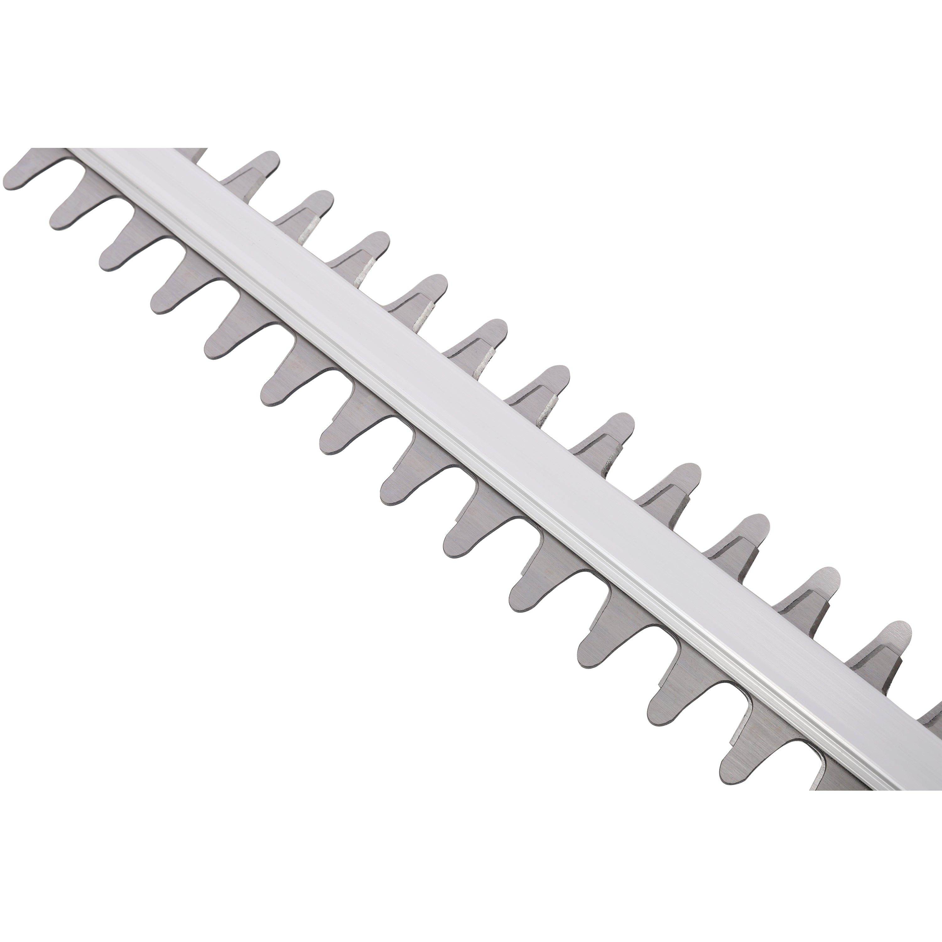 21V DC Hedge Trimmer