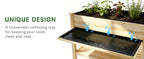 Raised Garden Bed 48x23x31.1-inch Elevated Wood Planter