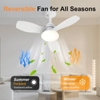 24.4" Modern Ceiling Fan