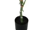 Artificial Dieffenbachia Tree - 54" Tall Faux Indoor Plant