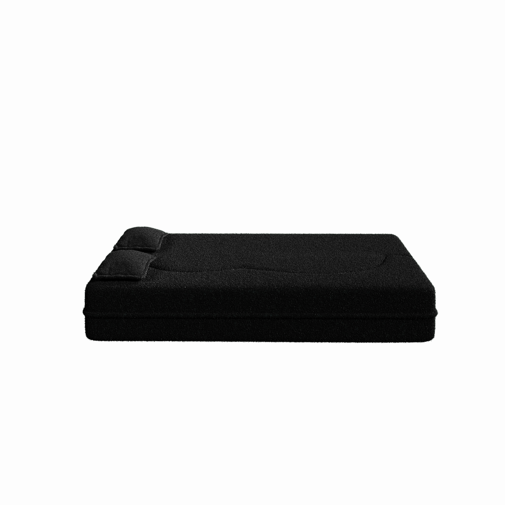 Modern Floor Sofa with 2 Pillows