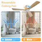 52 Inch Ceiling Fan