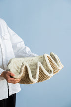 Medium Clam Shell Accent