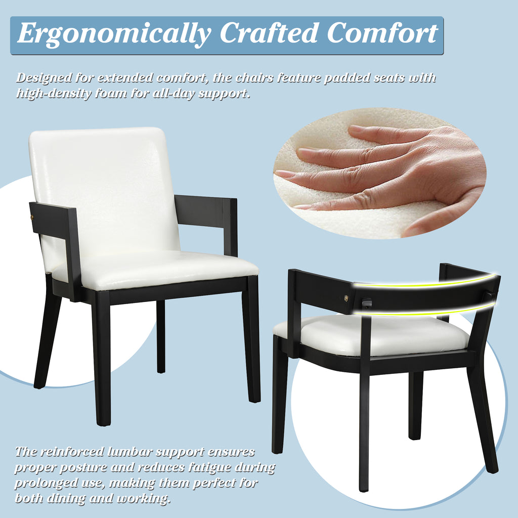 2-Piece Modern Dining Chairs