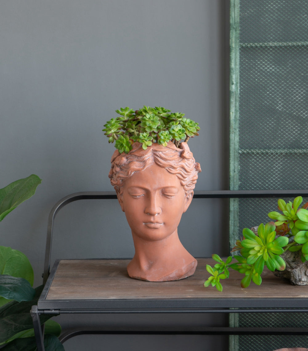 D7x11" Visage Head Bust Planter