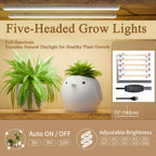 9-Tier Indoor Plant Stand with Grow Lights