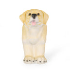 MGO Dog Bench - Outdoor Patio Seating