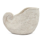 Nautilus Shell Decorative Planter