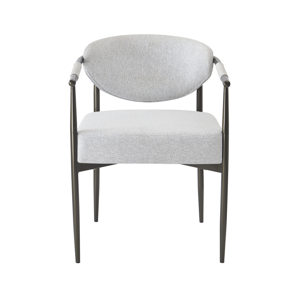 Modern Dining Chairs Set of 2