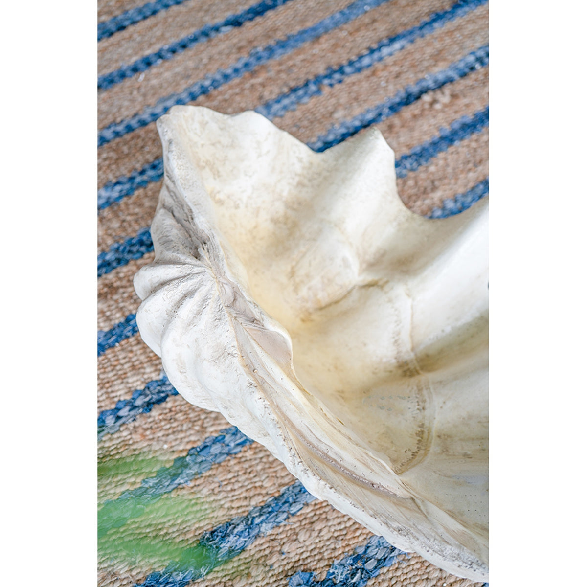Large Clam Shell Accent