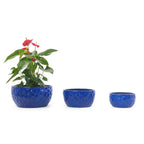Handmade Ceramic Planter Set of 3 - Cobalt
