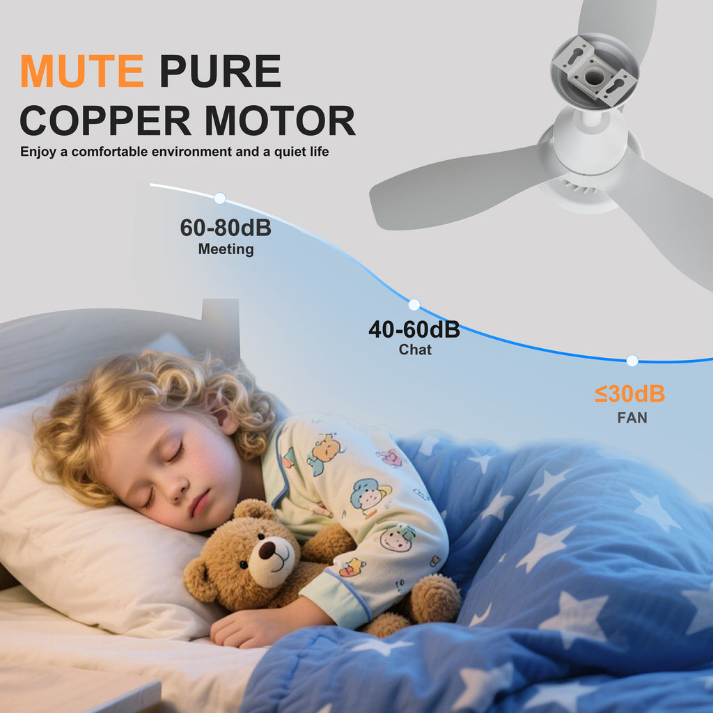 24.4" Modern Ceiling Fan