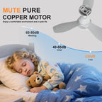 24.4" Modern Ceiling Fan