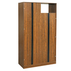 Modern 2 IN 1 Wood Bookshelf Cat House