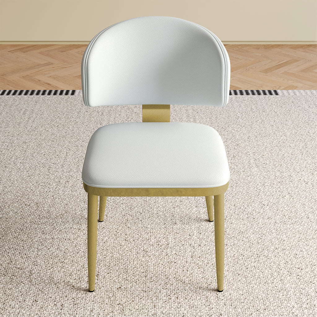 Dining Chairs Set of 2 in Modern Design
