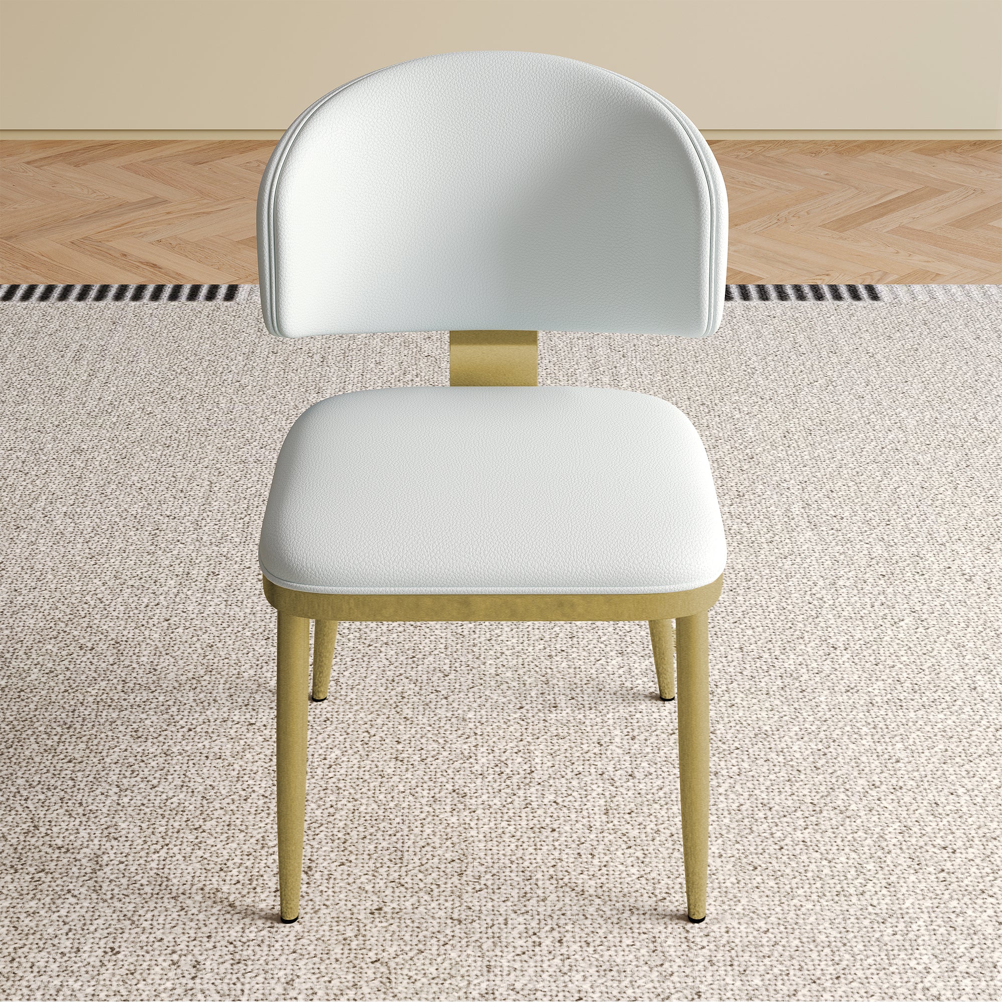 Dining Chairs Set of 2 in Modern Design