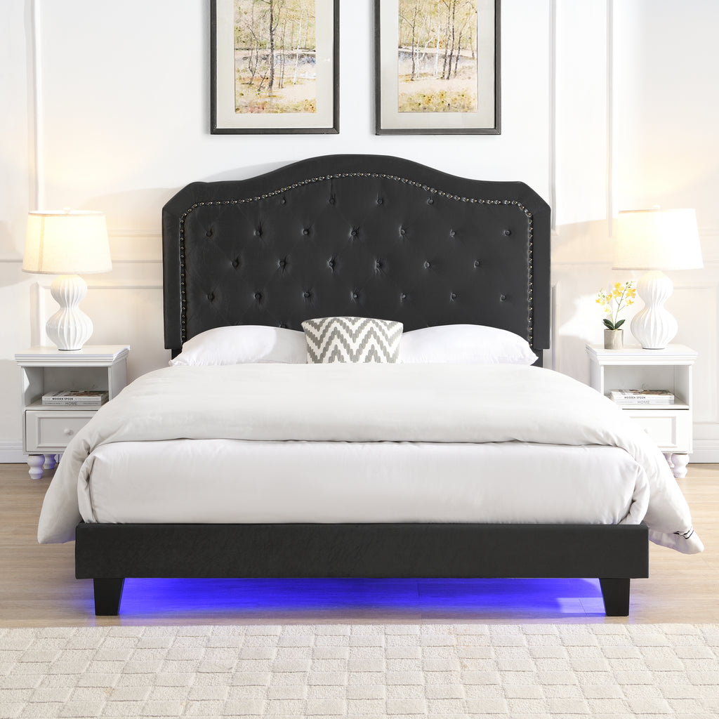 Upholstered Bed Button Tufted with Curve Design