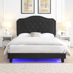 Upholstered Bed Button Tufted with Curve Design