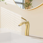 Brushed Bathroom Sink Faucet