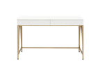 Lightmane Writing Desk