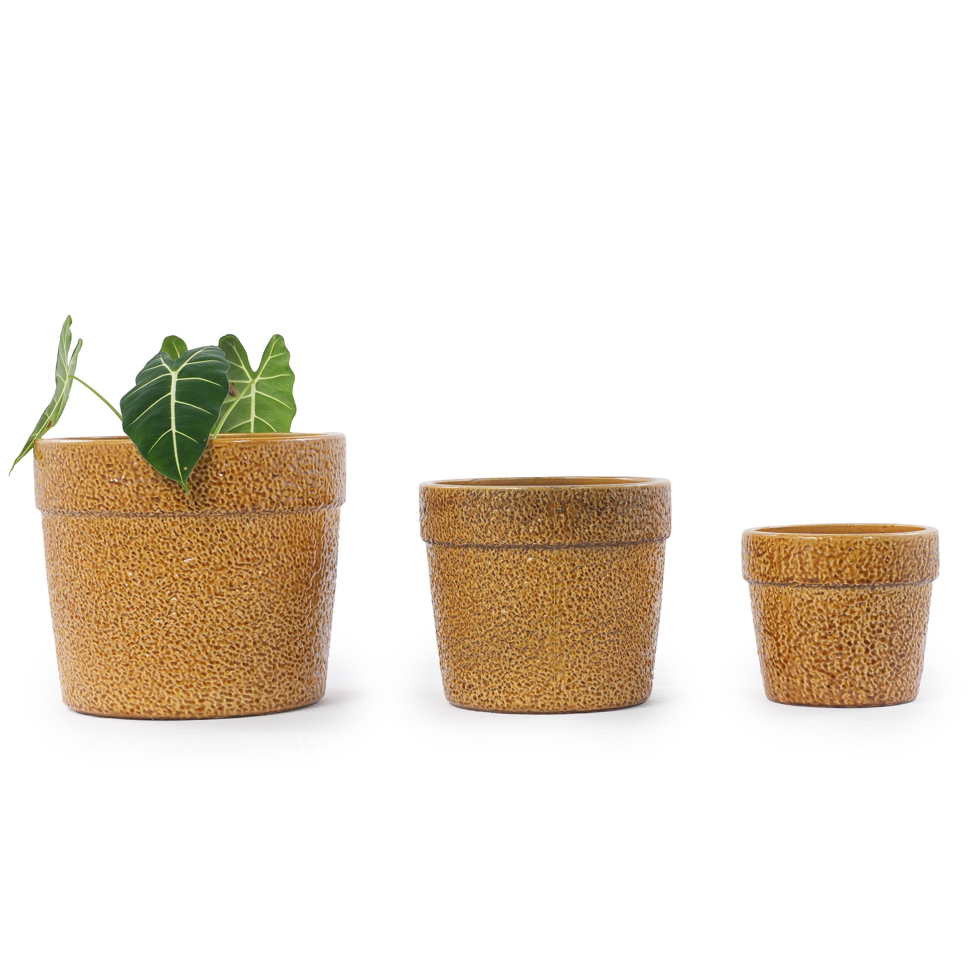 Handmade Ceramic Planter Set of 3