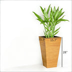 Classic Tall Outdoor Planter Set