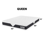 Venus Williams Collection - Legend 12" Foam Mattress - Queen