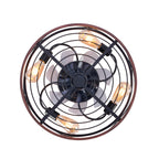 20'' Mounting Type Caged Ceiling Fan with Lights and Remote Control