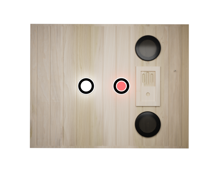 XY-909MB-R Far Infrared Sauna Room