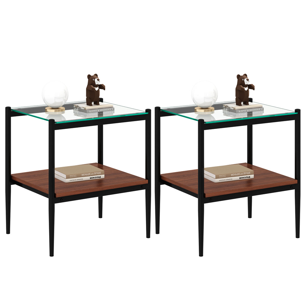 Set of 2 Rectangle End Table with Tempered Glass Top