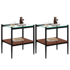 Set of 2 Rectangle End Table with Tempered Glass Top