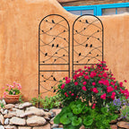 2 Pack Metal Garden Trellis 71" x 19.7"