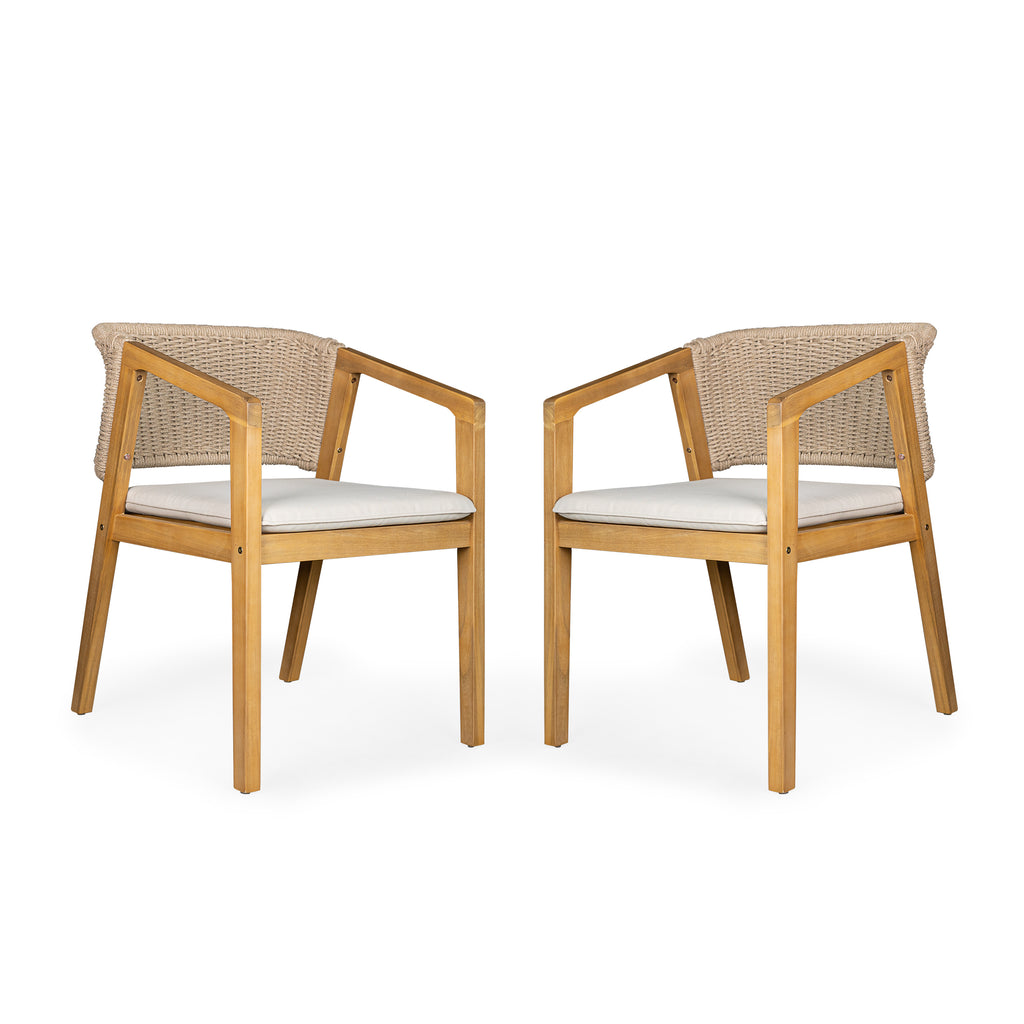 Dining Chair Set of 2