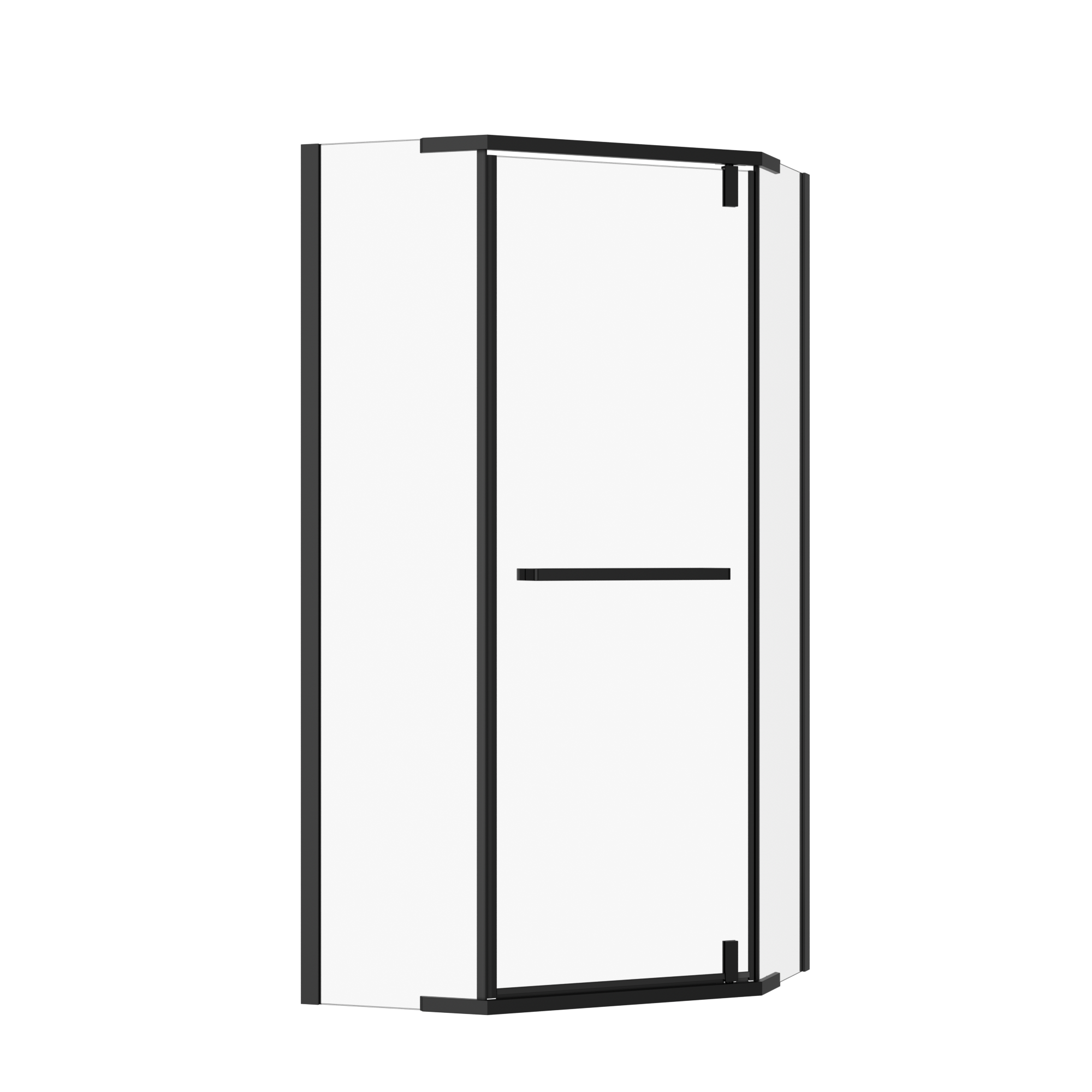 Neo-Angle Shower Door