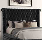 Glam 1pc Queen Size Bed Round Storage