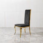 Contemporary Stainless Steel Dining Chair
